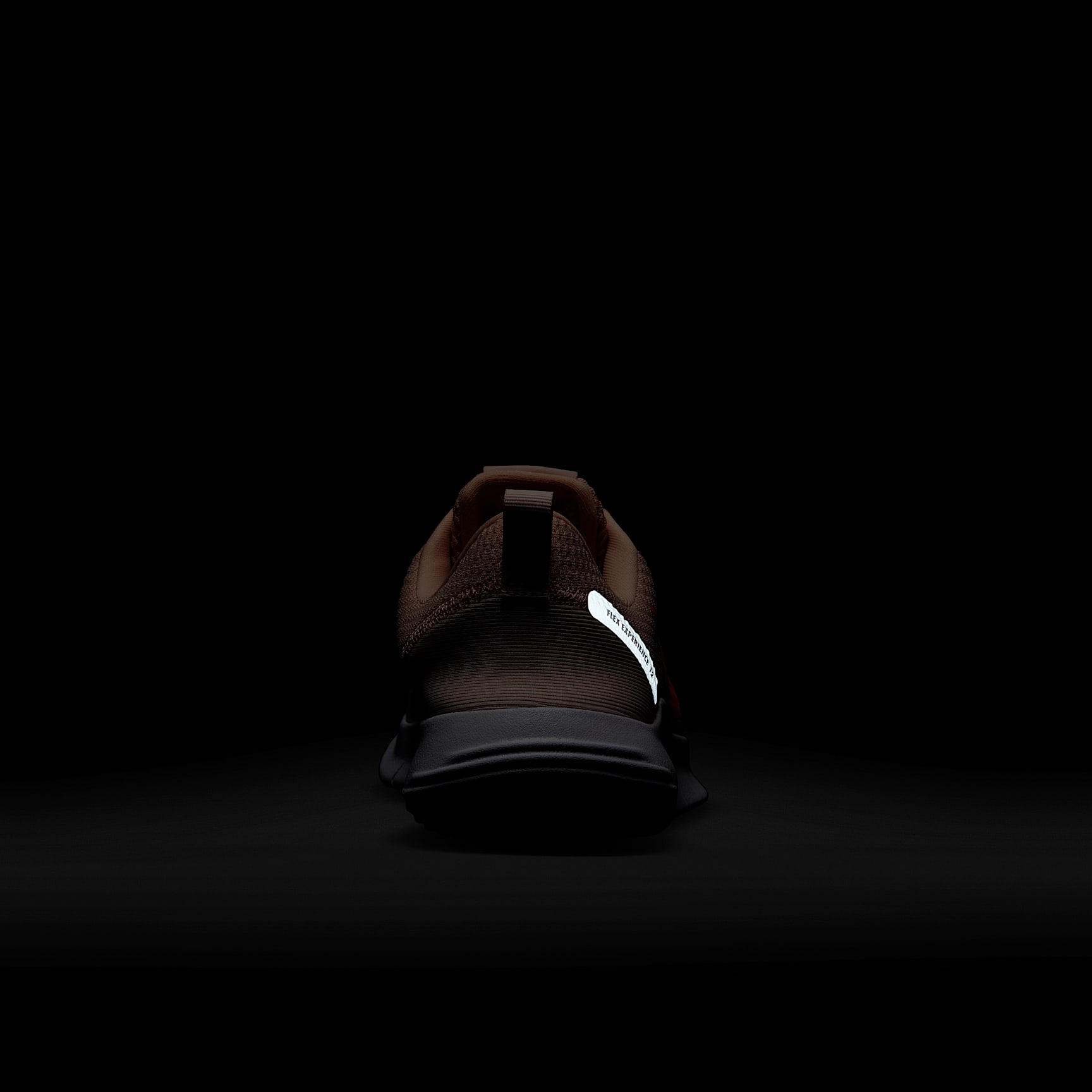 Nike Flex Experience Run 12 Women's Road Running Shoes