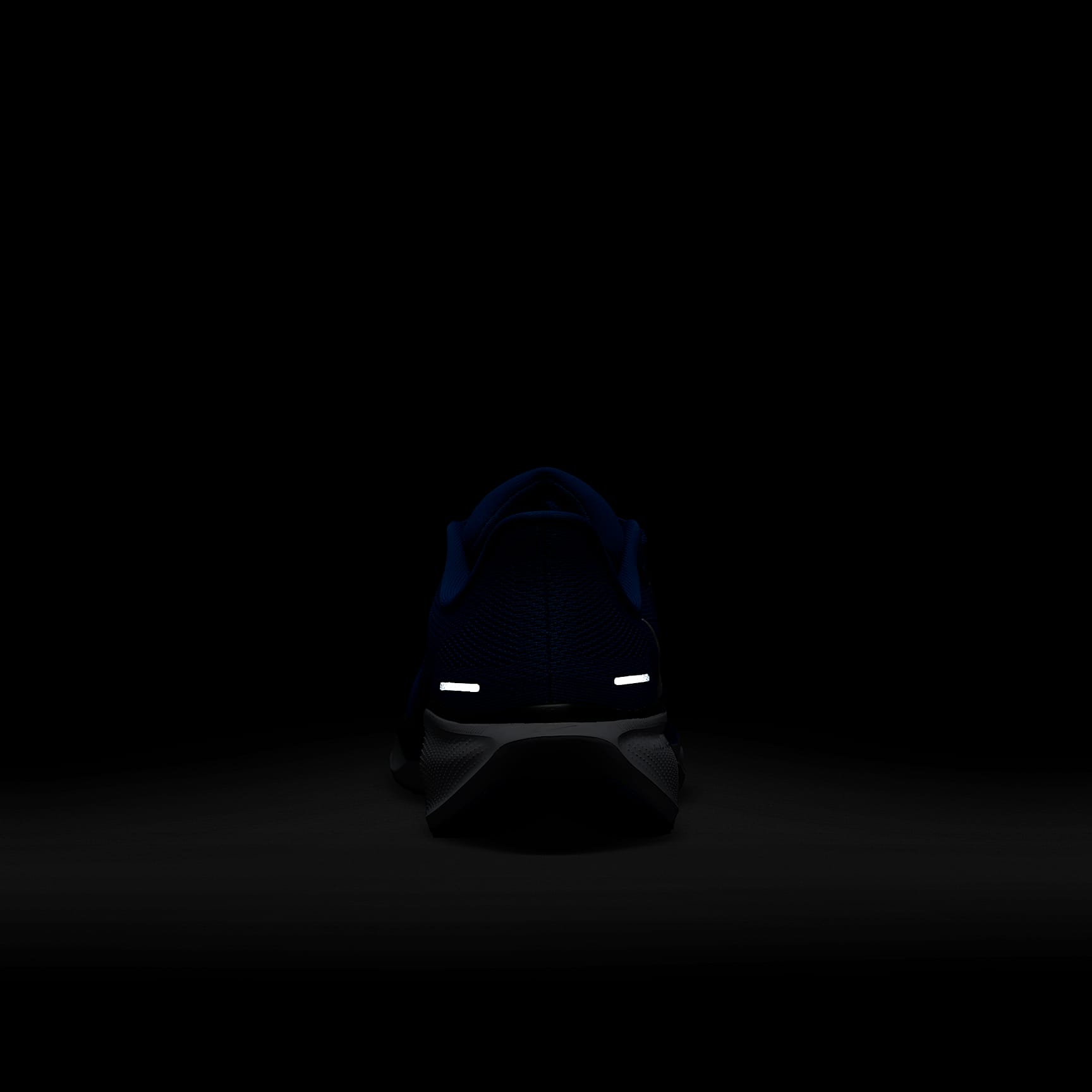 Duke Pegasus 41 Men's Nike College Road Running Shoes