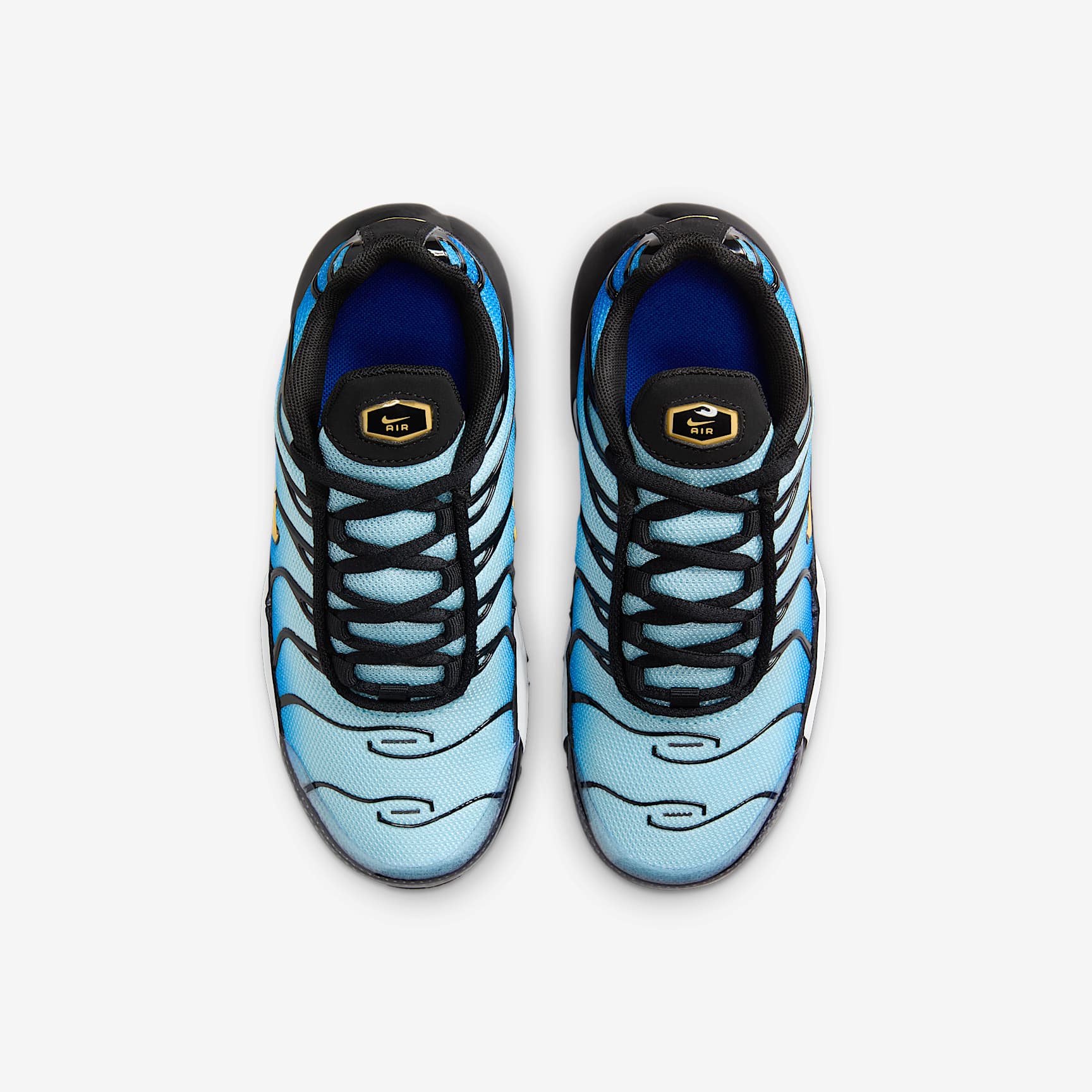 Nike Air Max Plus Little Kids' Shoes