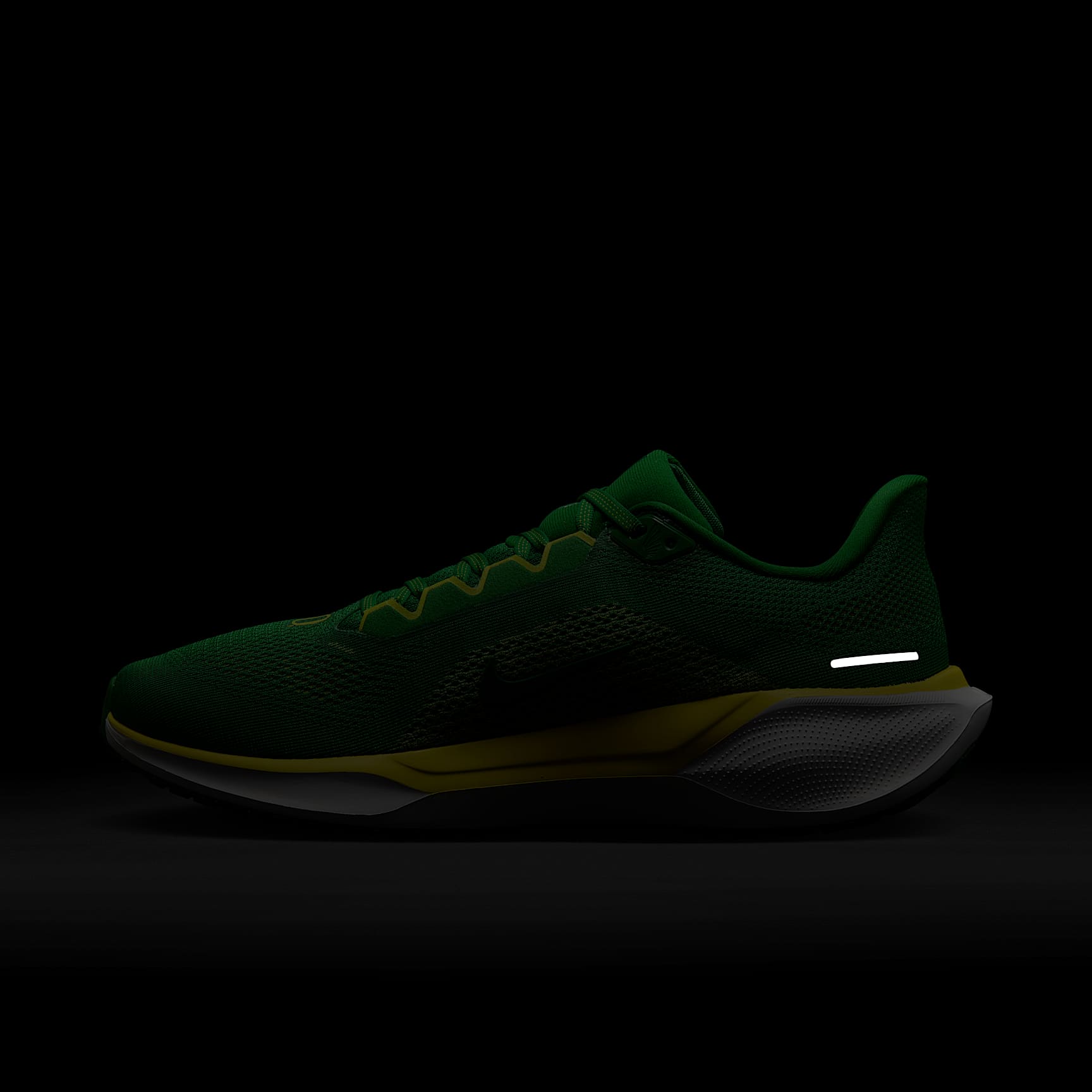 Oregon Pegasus 41 Men's Nike College Road Running Shoes