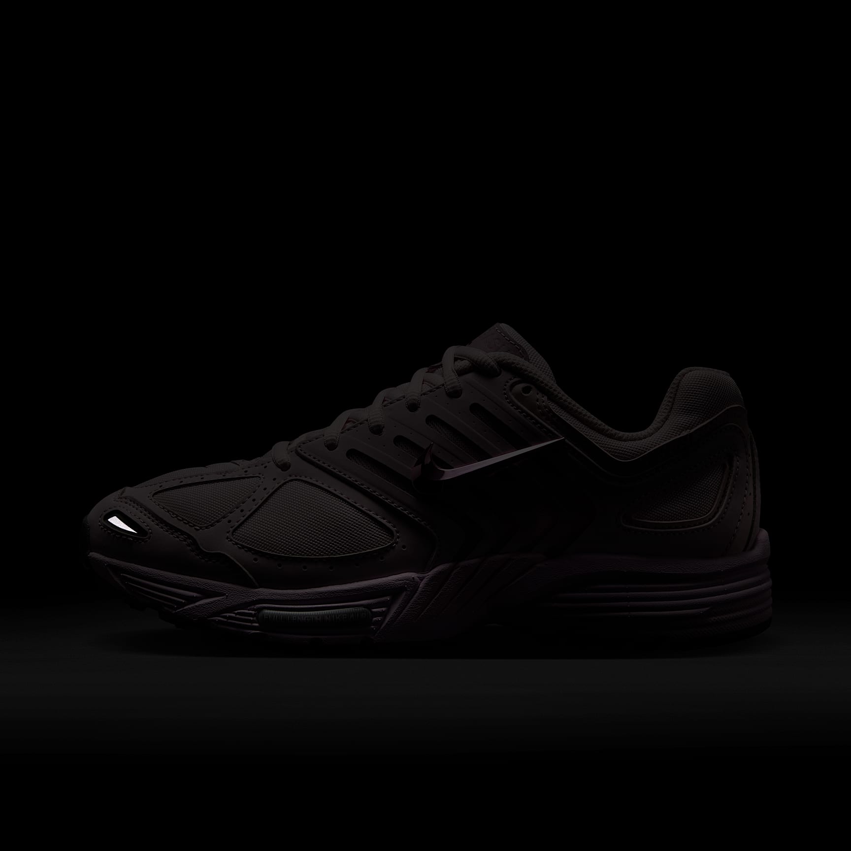 Nike Air Pegasus 2005 Women's Shoes