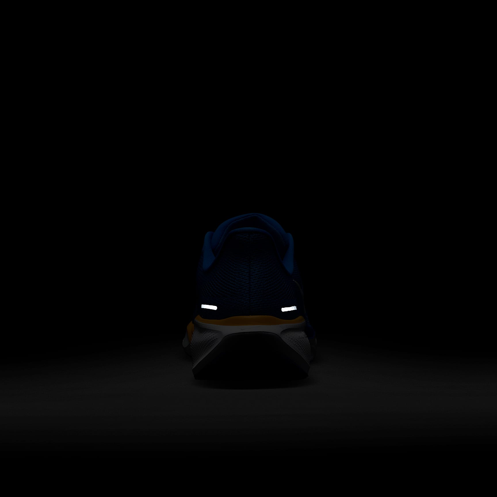 UCLA Pegasus 41 Men's Nike College Road Running Shoes