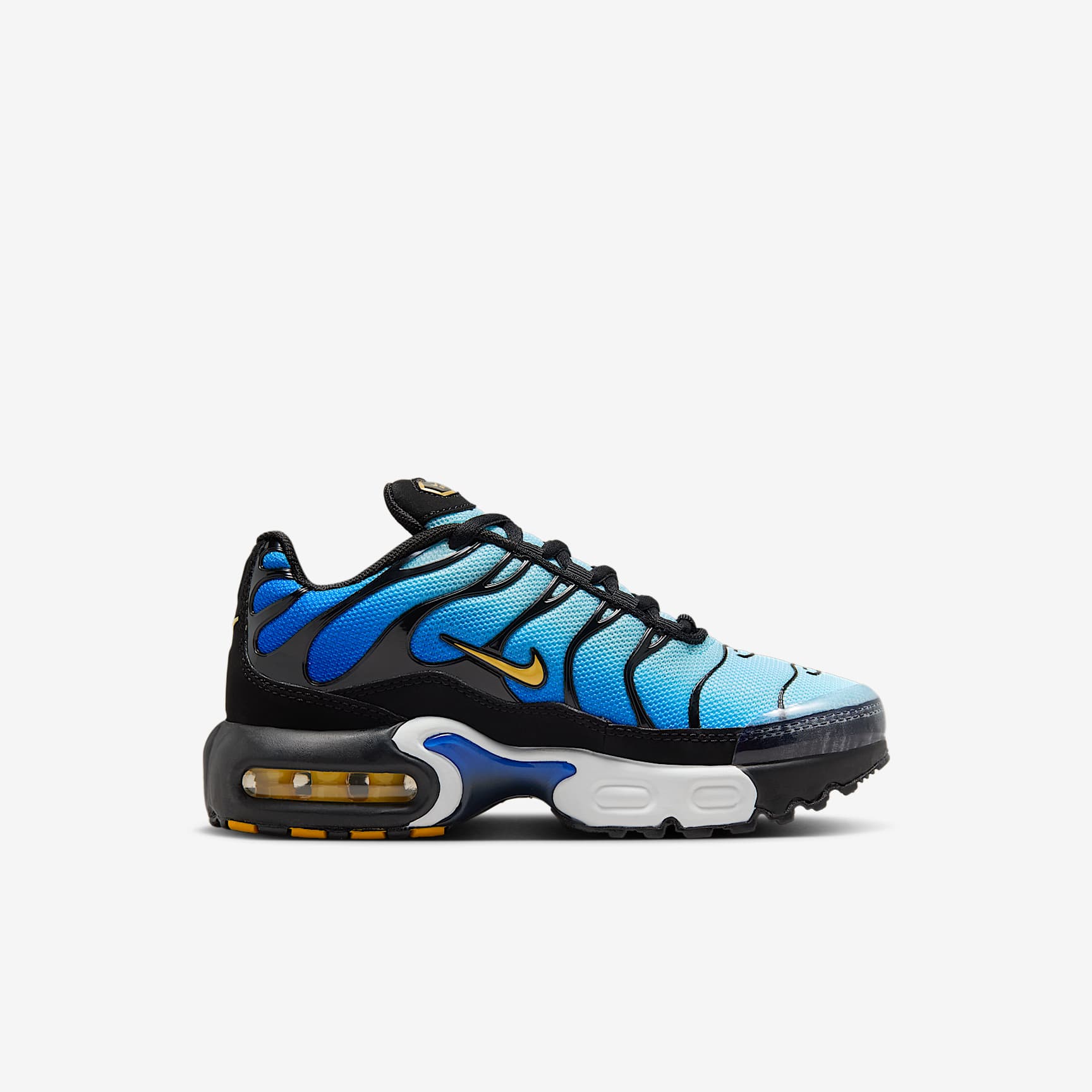 Nike Air Max Plus Little Kids' Shoes