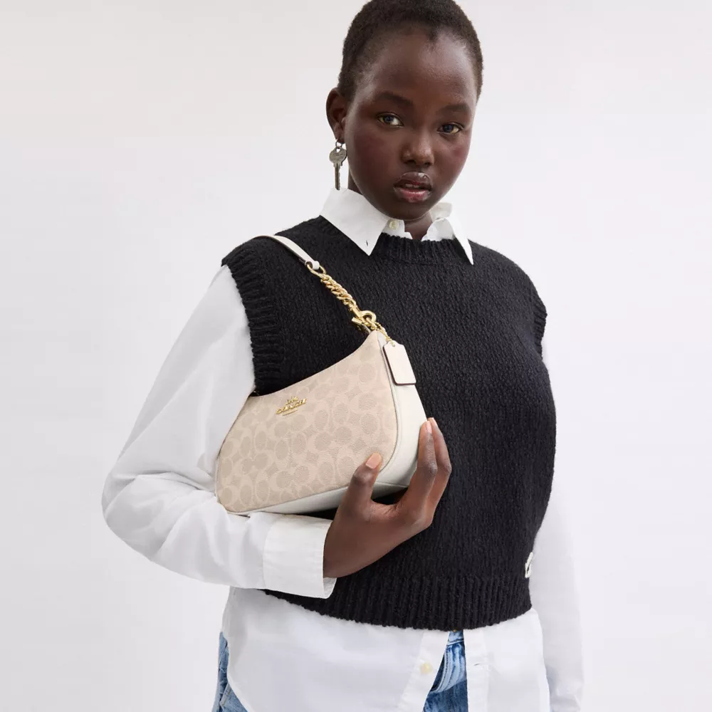 Сумка COACH Teri Shoulder Bag In Signature Canvas