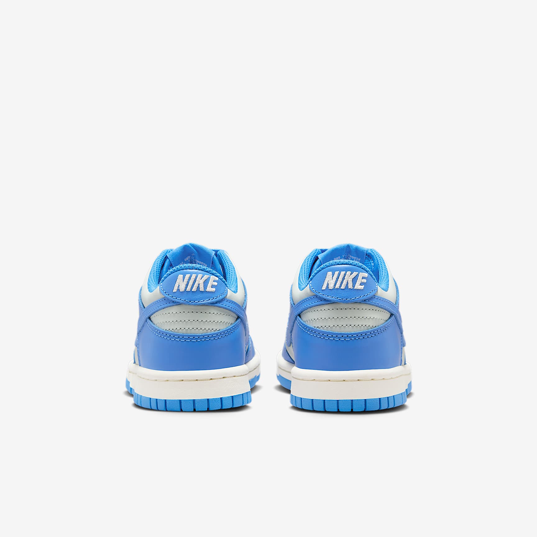 Nike Dunk Low Big Kids' Shoes
