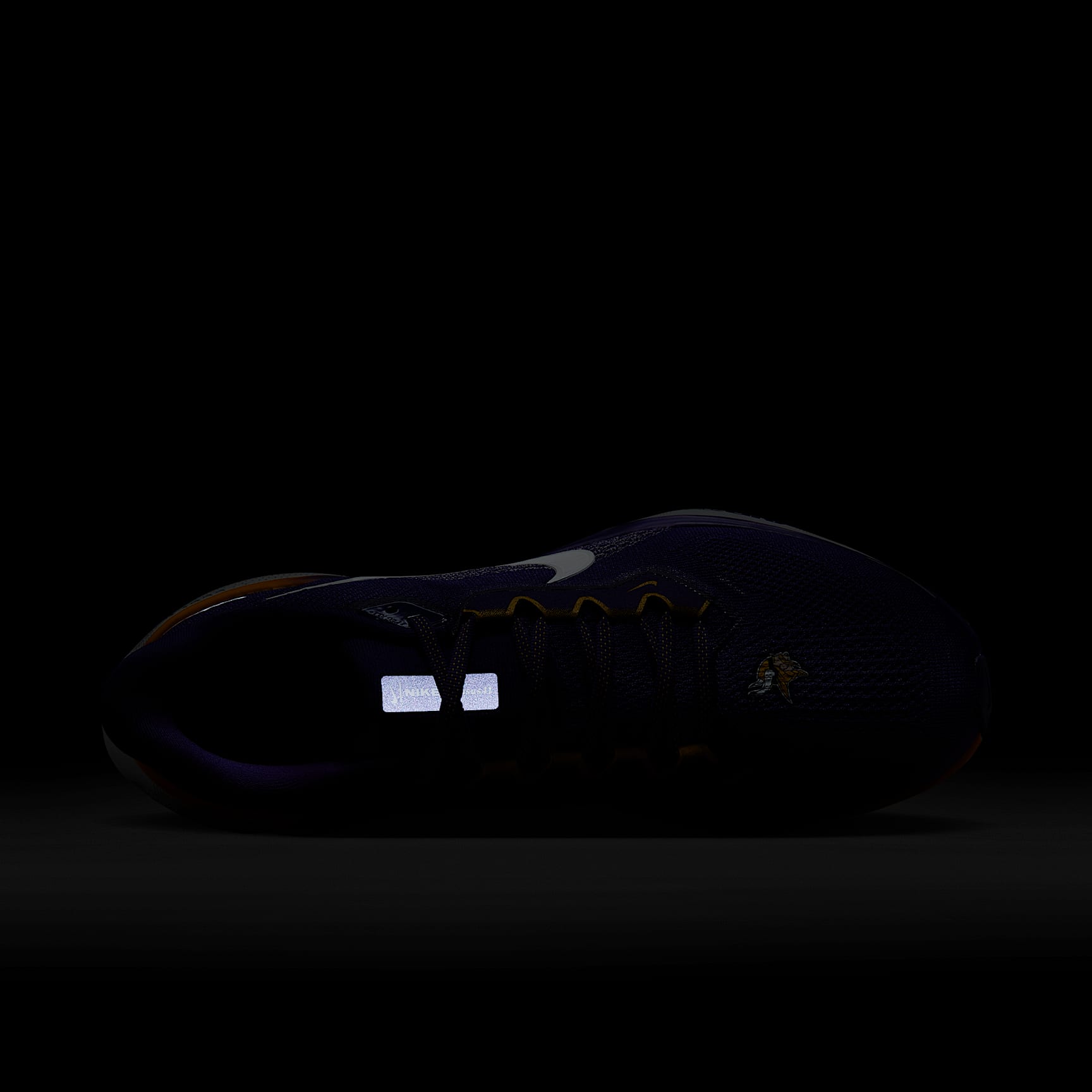 Nike Pegasus 41 NFL Minnesota Vikings Men's Road Running Shoes