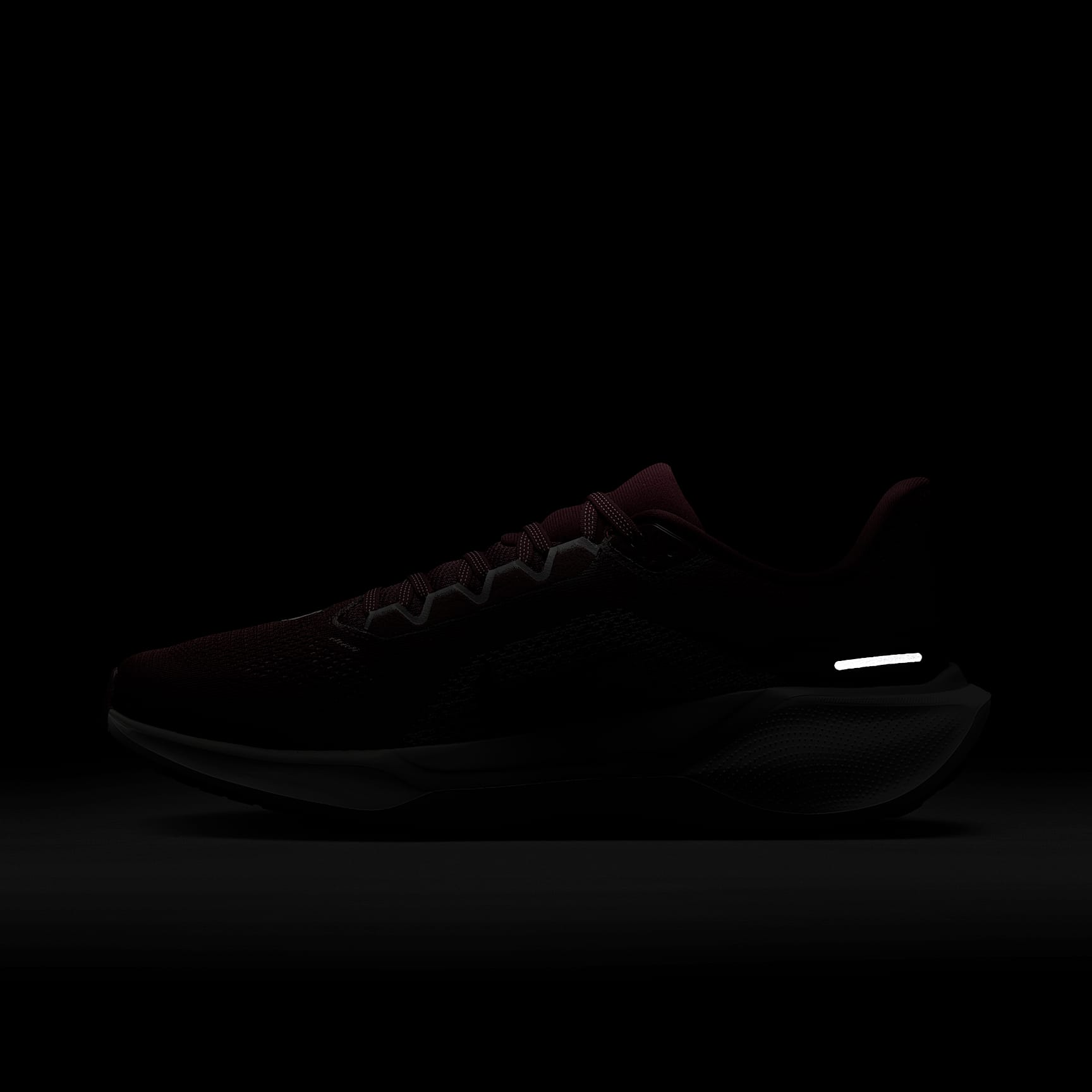 Alabama A&M Pegasus 41 Men's Nike College Road Running Shoes