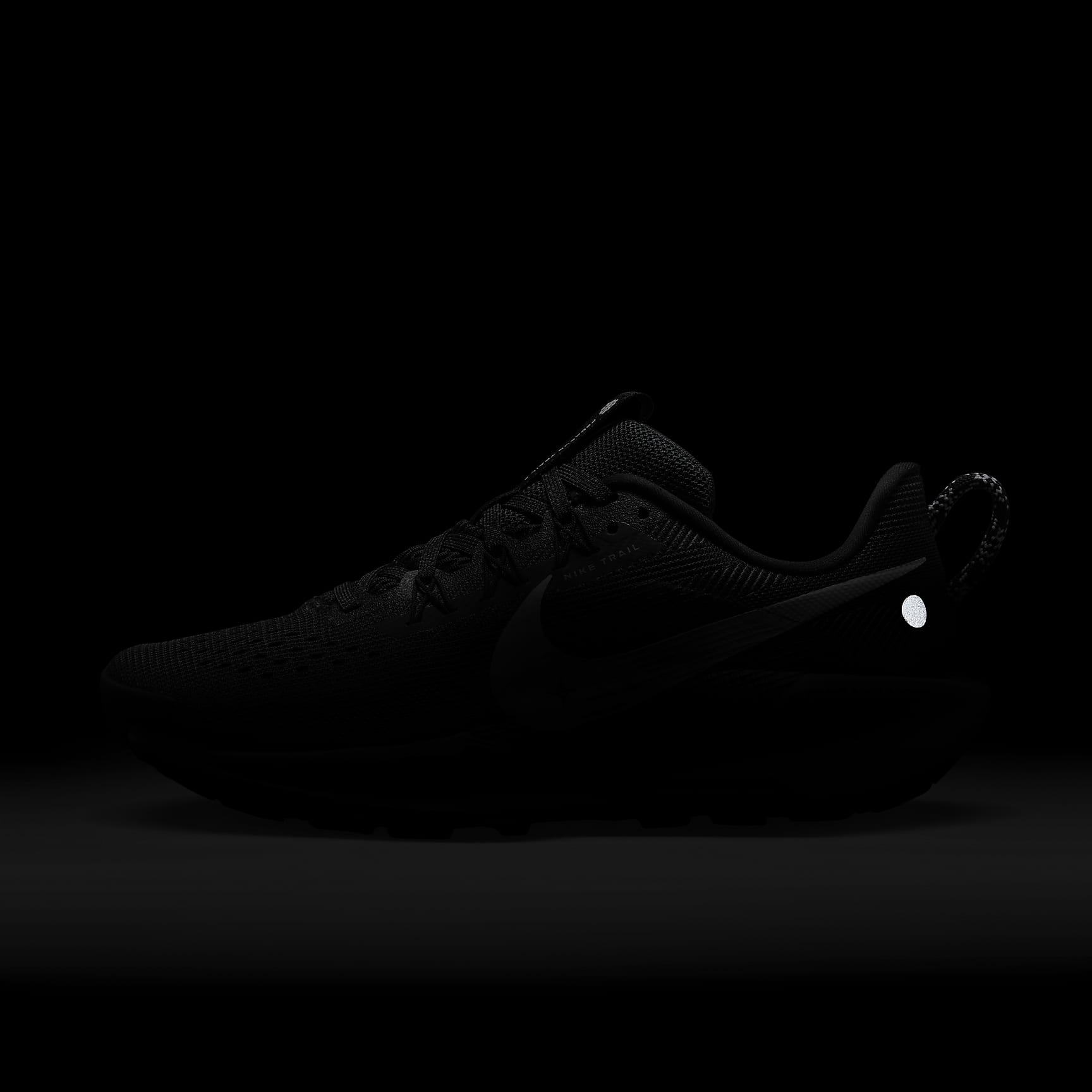 Nike Pegasus Trail 5 Women's Trail Running Shoes