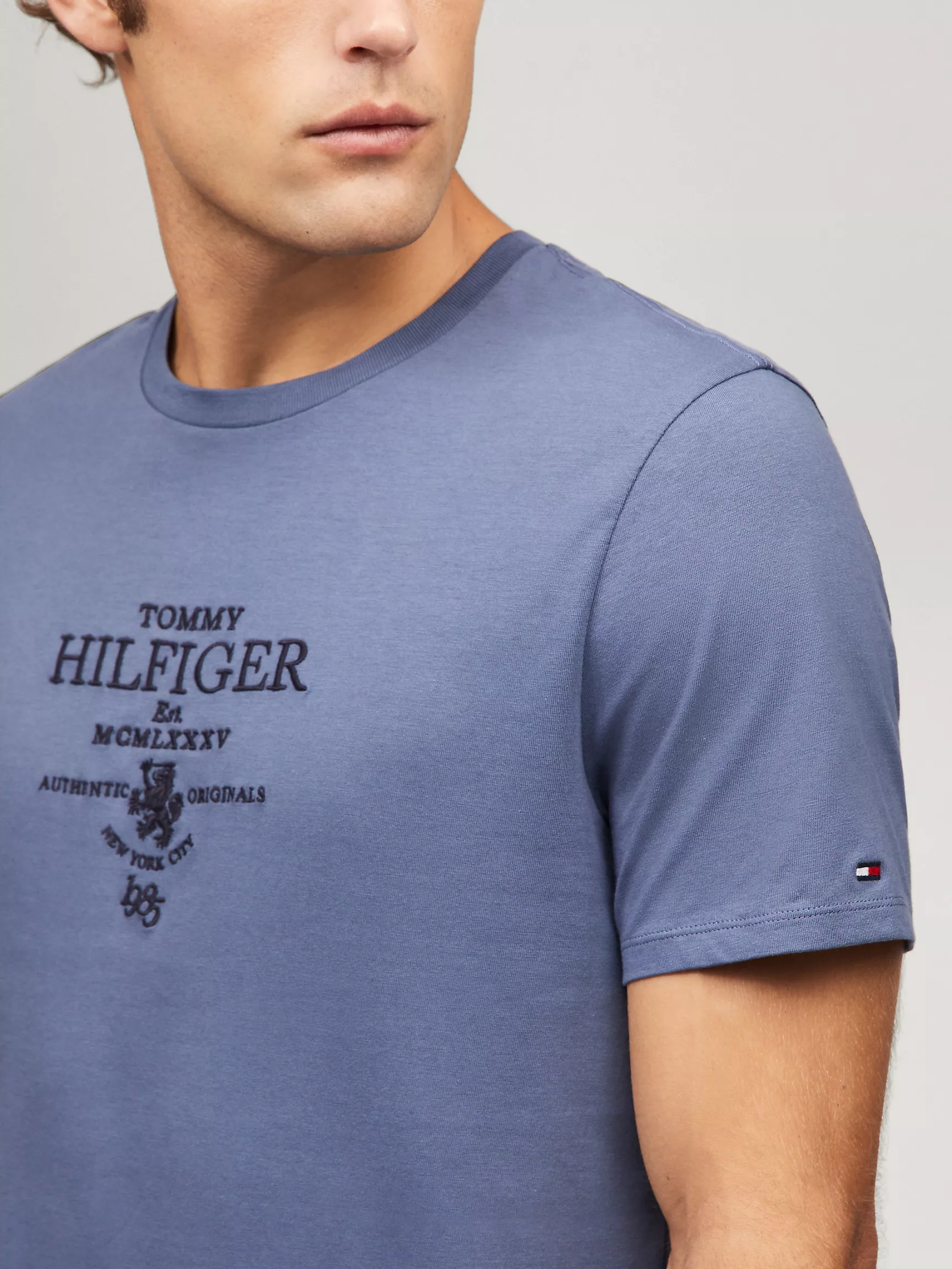 Мужская футболка Tommy Hilfiger, Футболка с логотипом Tommy Heritage