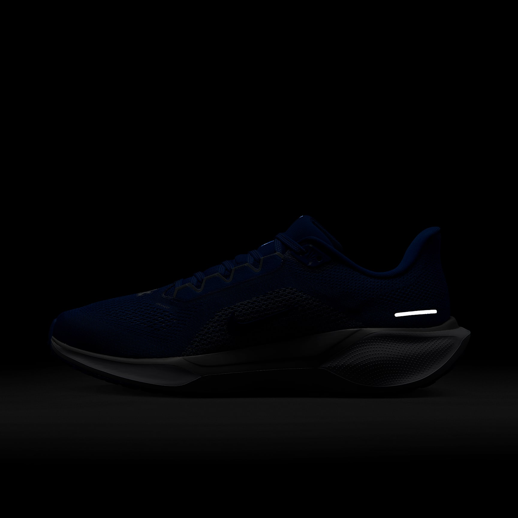 Kentucky Pegasus 41 Men's Nike College Road Running Shoes