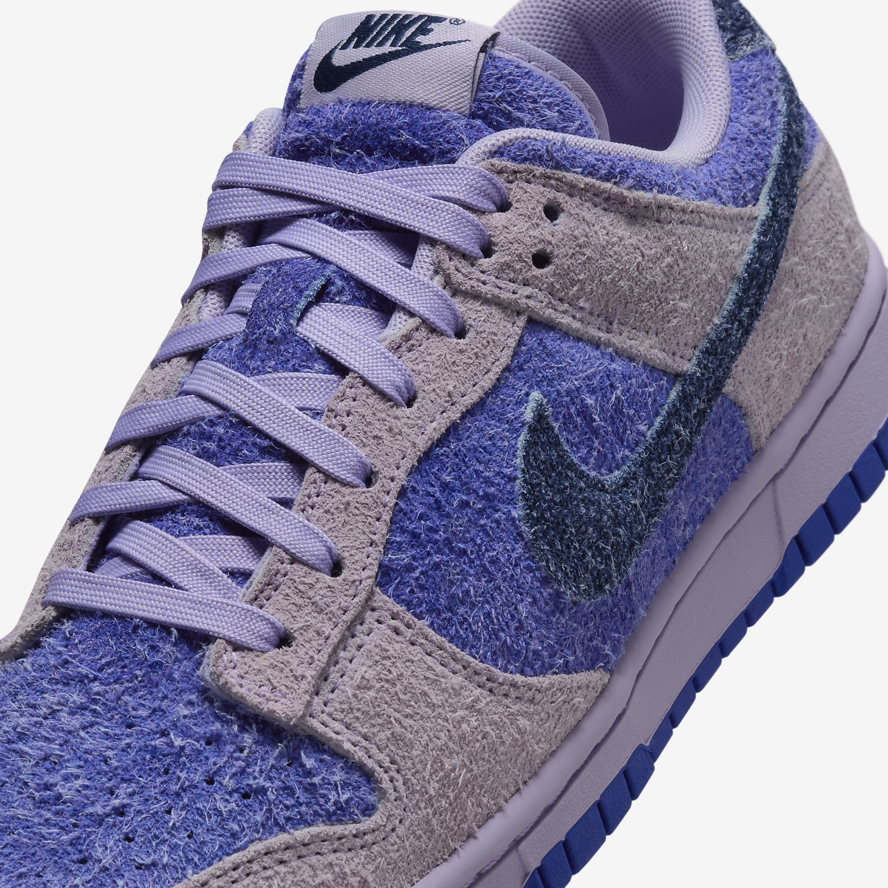 Nike Dunk Low SE Women's Shoes