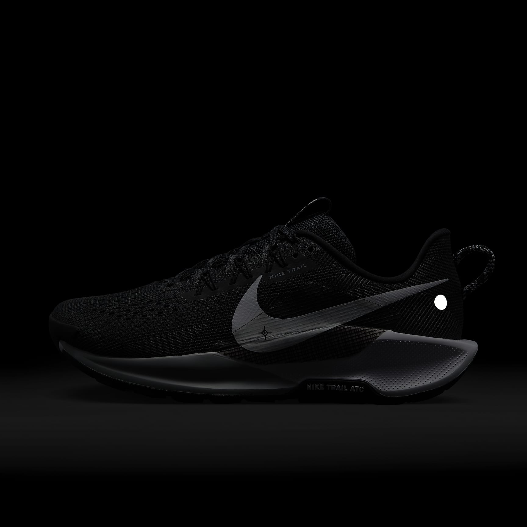 Nike Pegasus Trail 5 Men's Trail Running Shoes