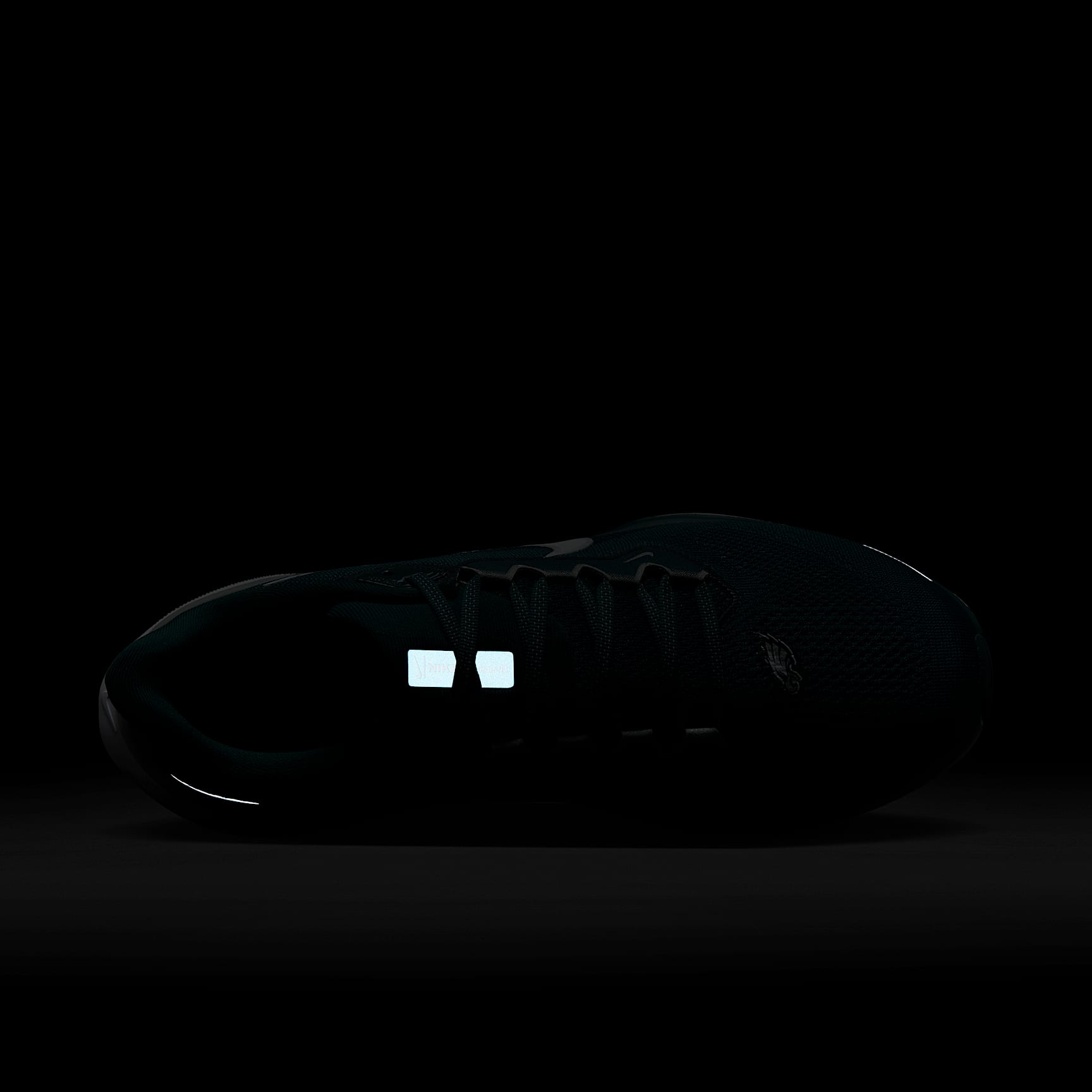 Nike Pegasus 41 NFL Philadelphia Eagles Men's Road Running Shoes