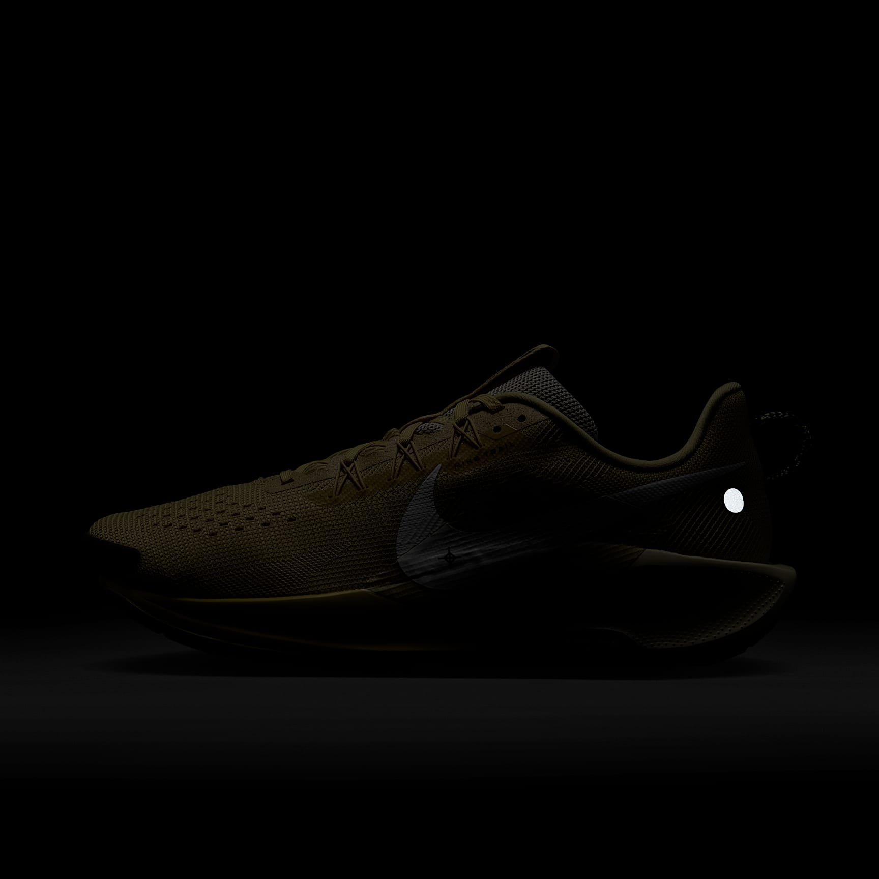 Nike Pegasus Trail 5 Men's Trail Running Shoes