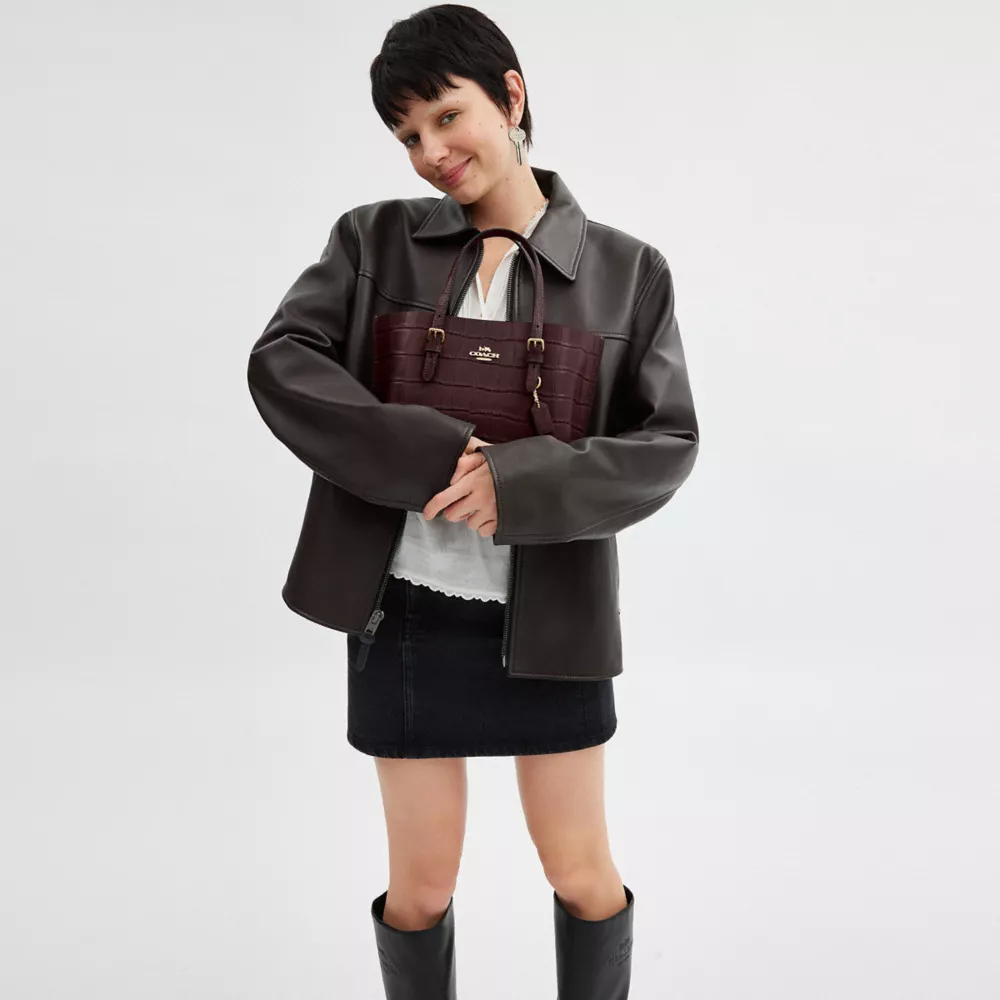 Сумка COACH Mollie Tote Bag 25