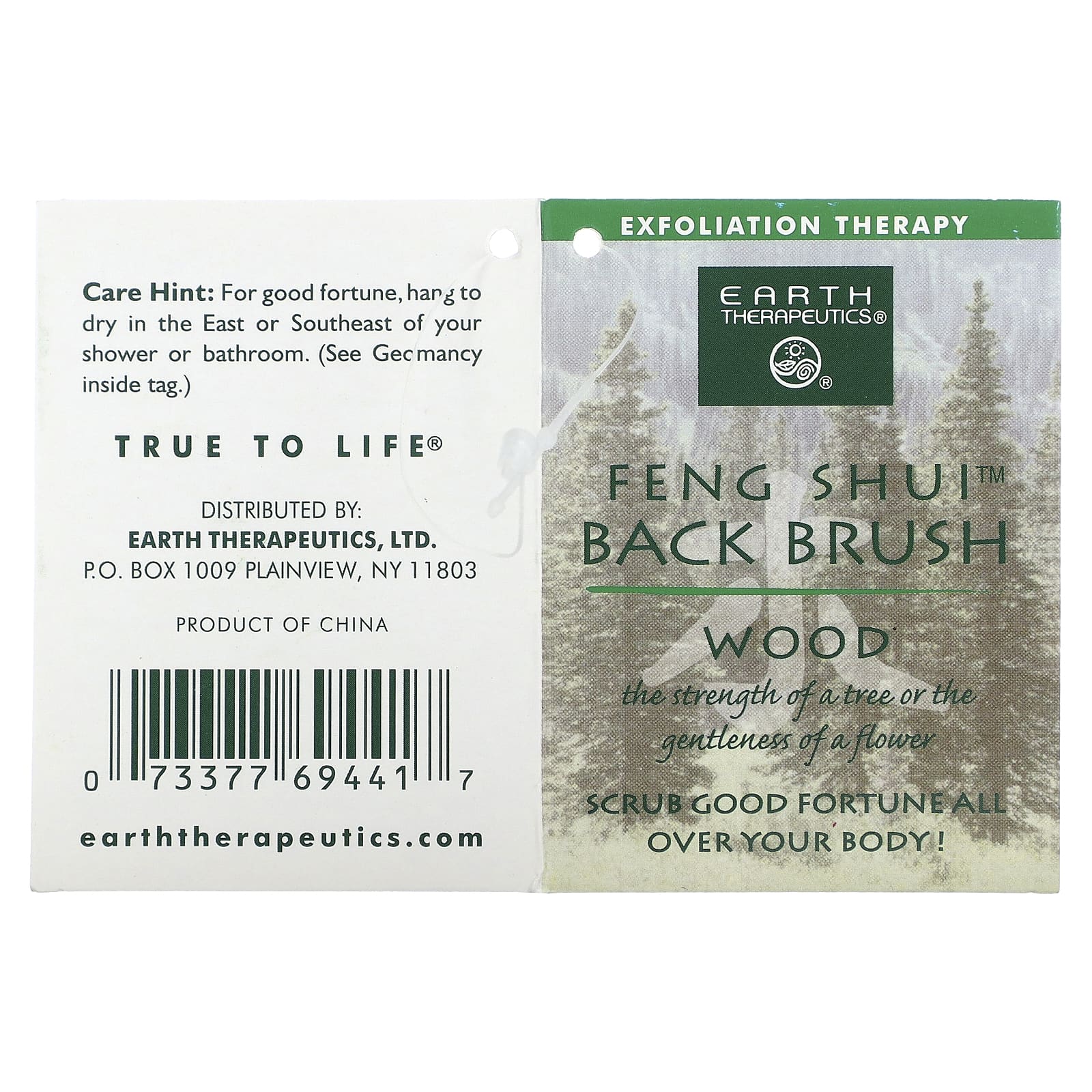 Earth Therapeutics, Фен-шуй, щетка для спины, зеленая`` 1 кисть