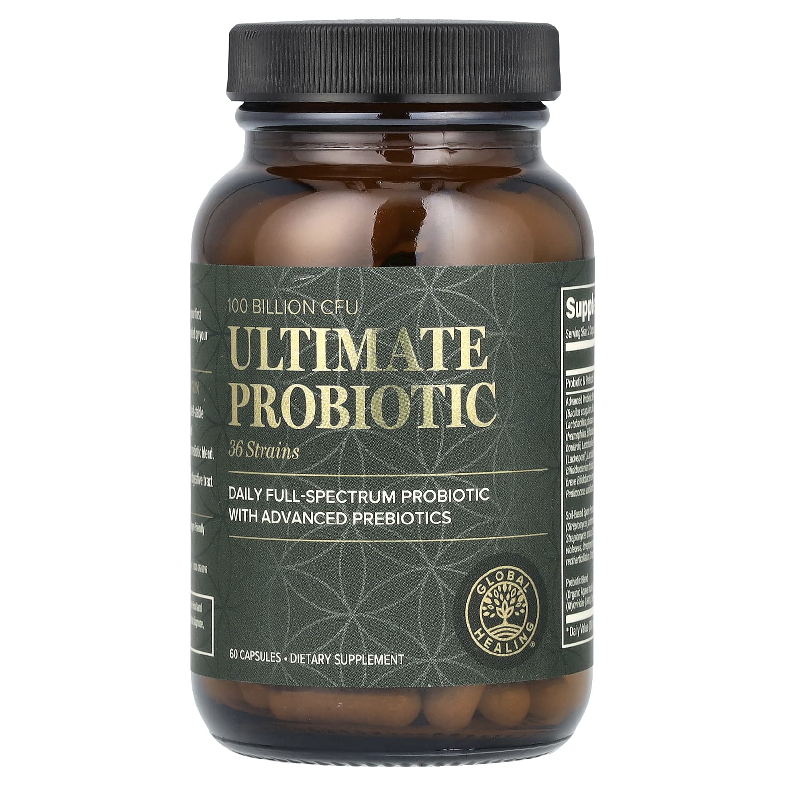 Global Healing, Ultimate Probiotic, 100 млрд КОЕ, 60 капсул