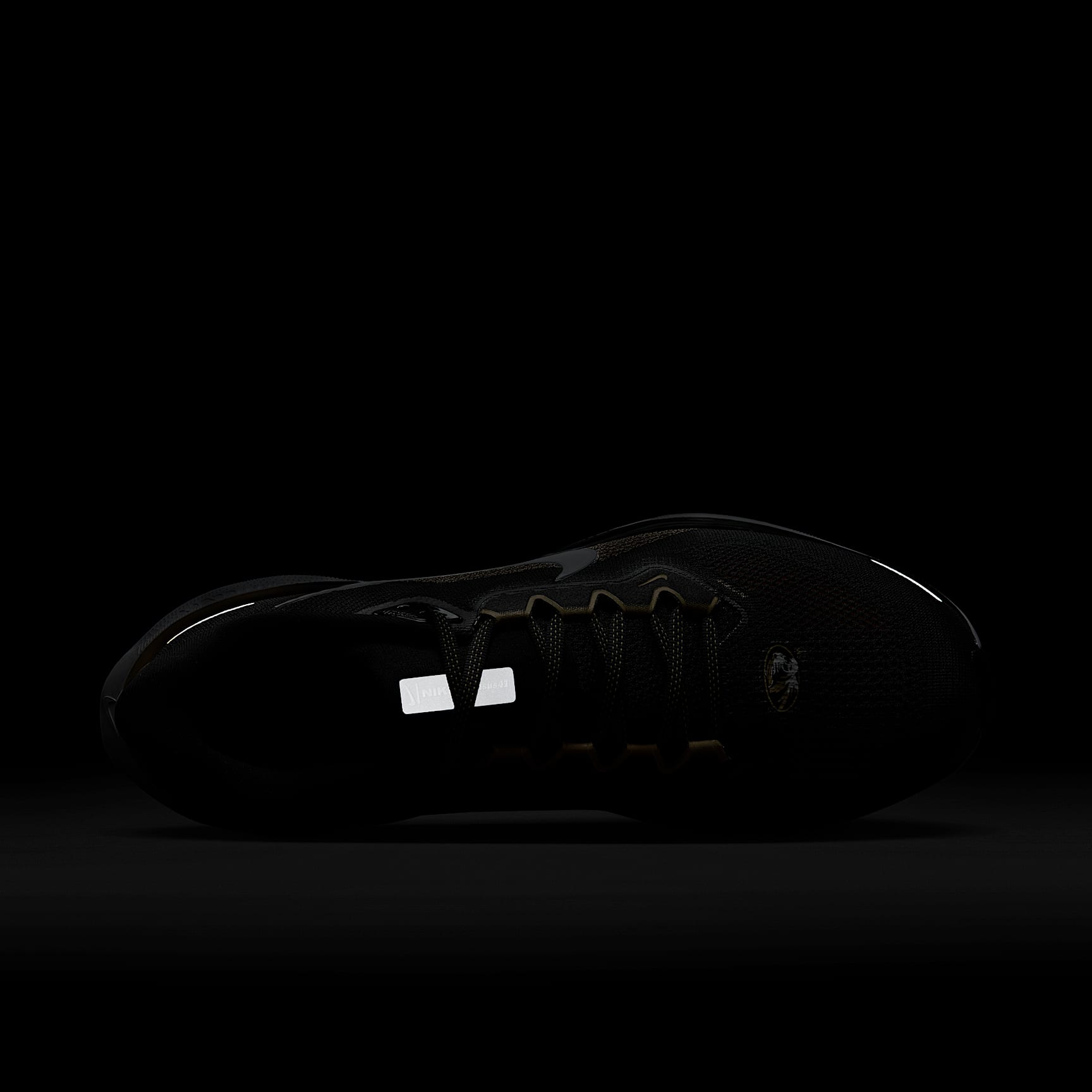 Missouri Pegasus 41 Men's Nike College Road Running Shoes