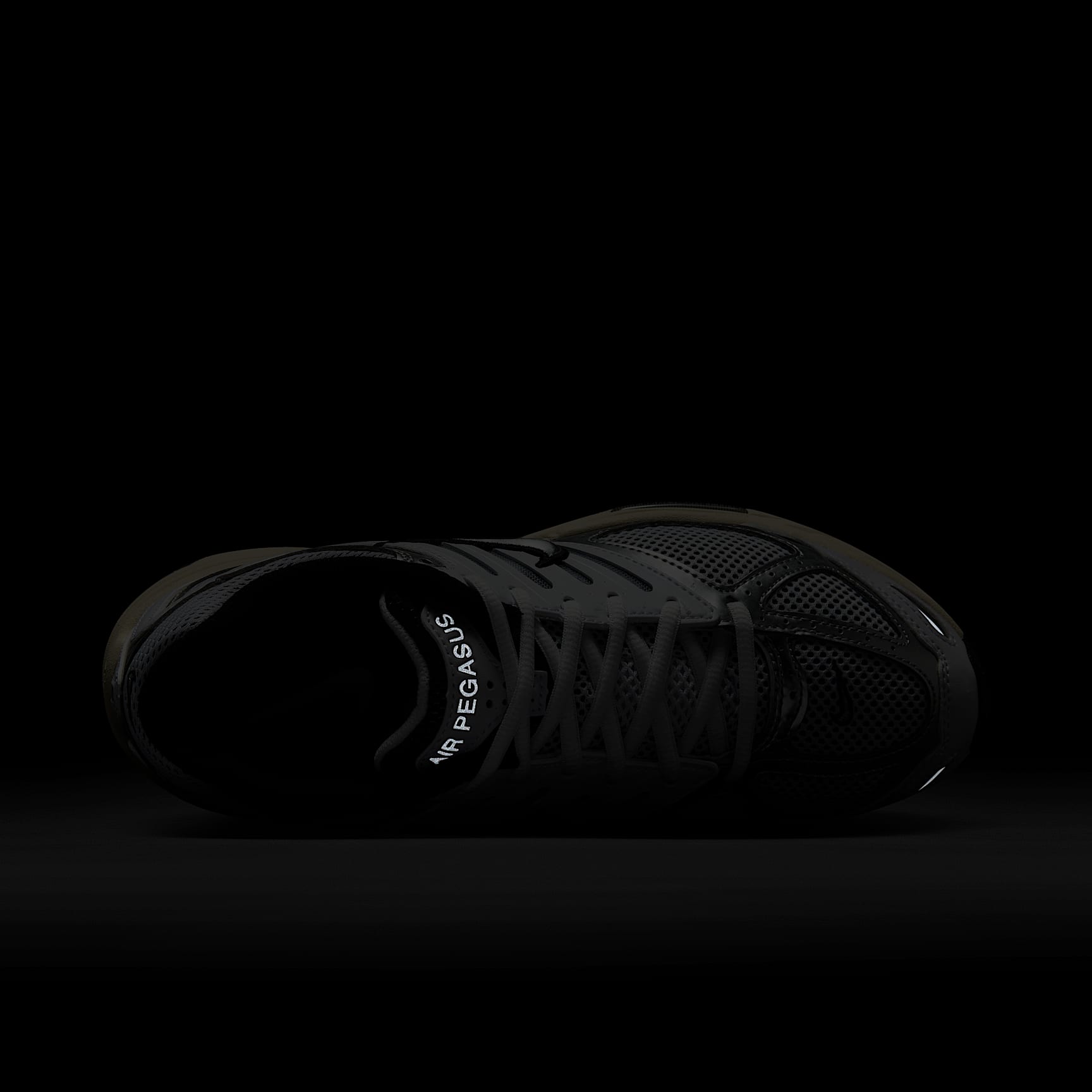 Nike Air Pegasus 2005 Women's Shoes