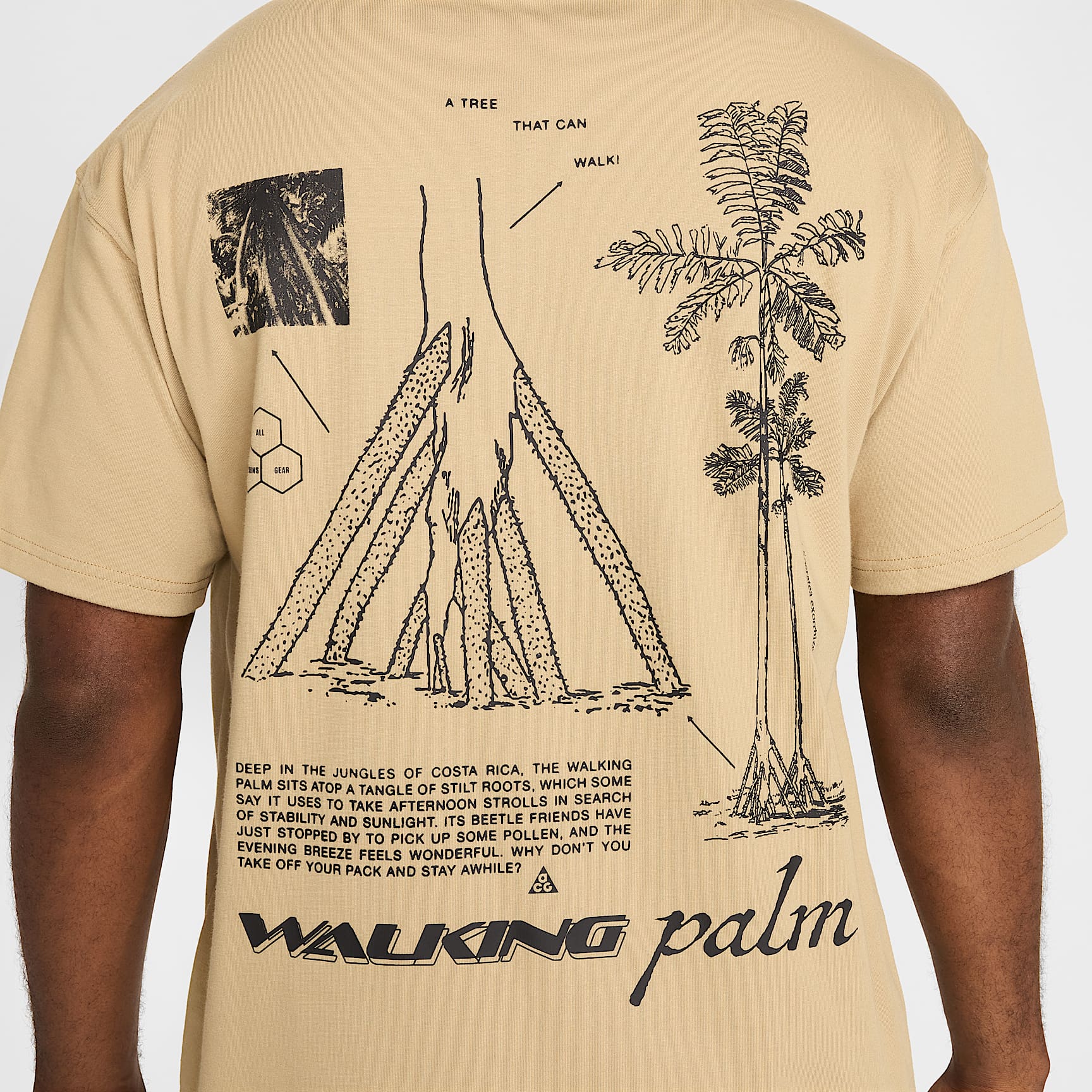 Nike ACG "Walking Tree" Men's Dri-FIT T-Shirt