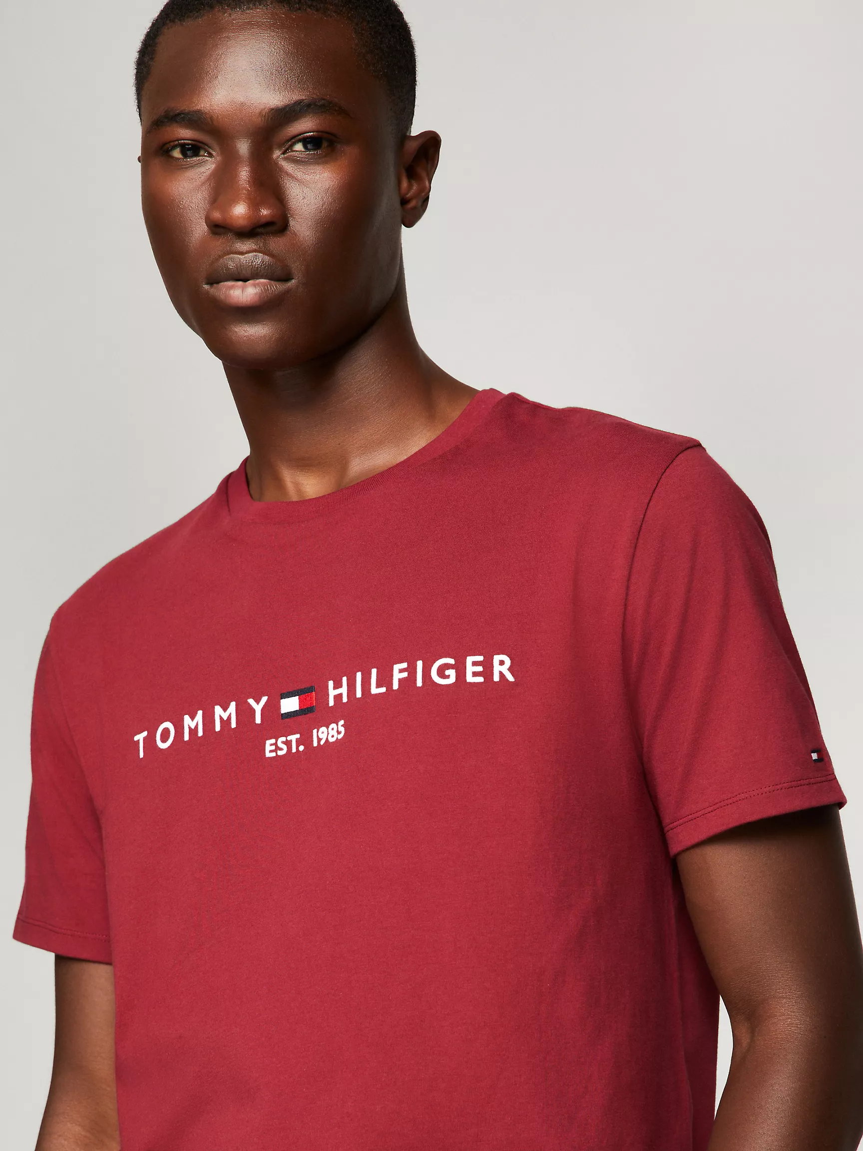 Мужская футболка Tommy Hilfiger, Футболка с вышитым логотипом Tommy