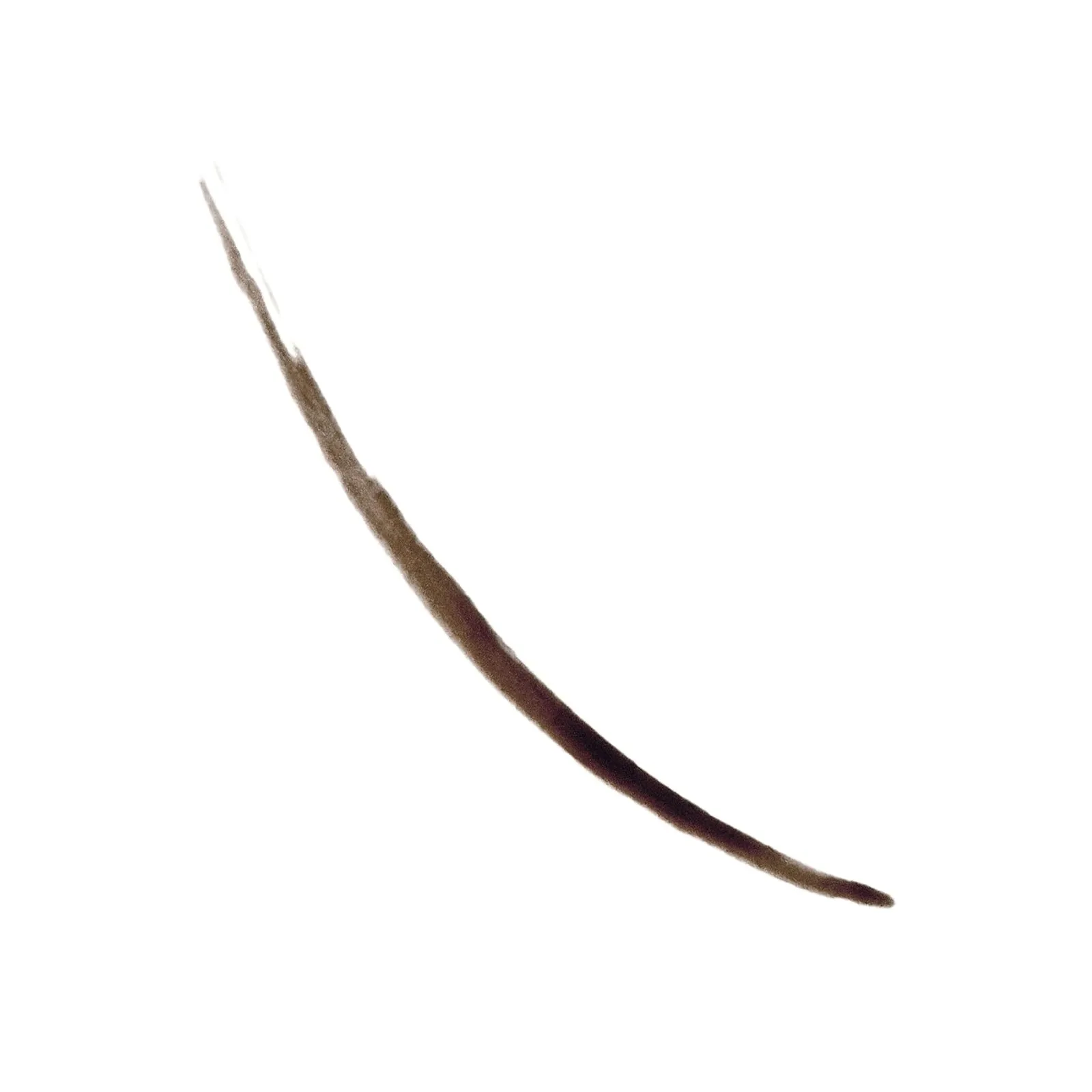 Revlon, Colorstay™, semi-permanent Brow Ink™, оттенок 355 темно-коричневый, 2,8 мл (0,09 жидк. унции)